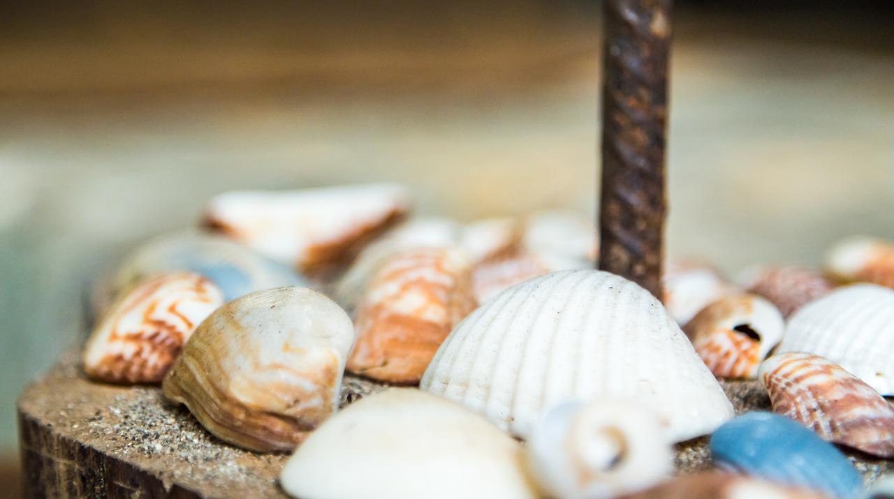 ホテル La Mar De Bien ブリタカ エクステリア 写真